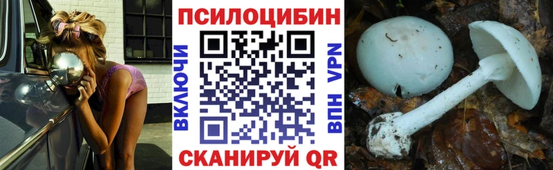 наркошоп  Балашиха  ОМГ ОМГ   Галлюциногенные грибы Cubensis 